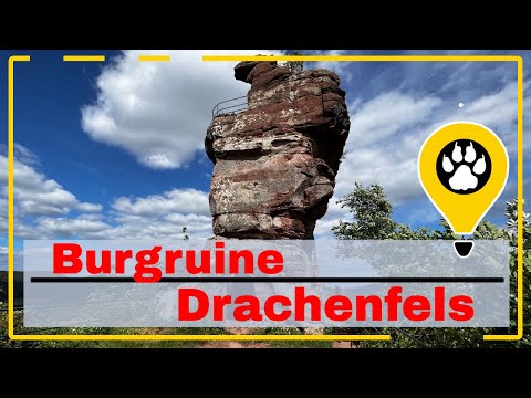 auf Bundsandstein-Felsen gebaut die Burgruine Drachenfels