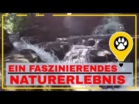 Paradiesweg Schlichemklamm - wandern auf kleinen Pfaden mit vielen Wasserkaskaden und Fällen