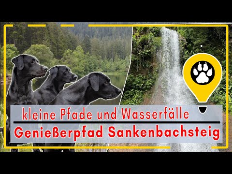Eines der schönsten Wanderwege in Baiersbronn, der Sankenbachsteig