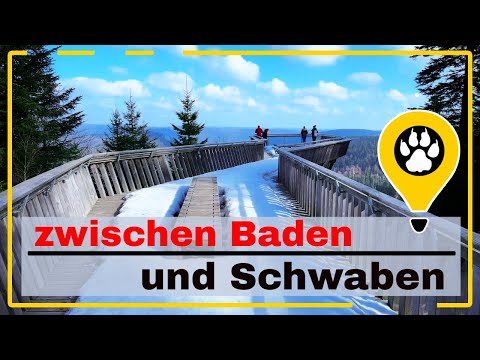 zwischen Baden und Schwaben und auf eisigen Wegen der Kniebiser Heimatpfad