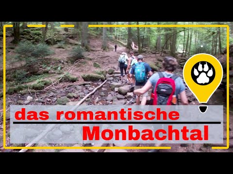 Das wildromatische Monbachtal — urige Tour mit schroffen Felsen entlang der Monbach