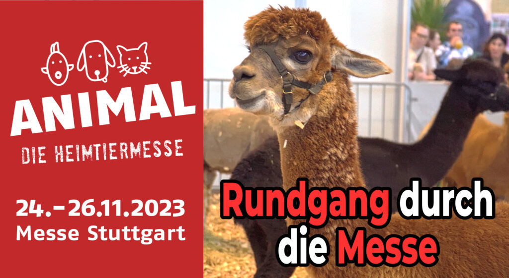 Animal Stuttgart 2023